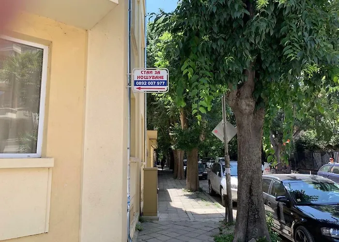 за гости донови *